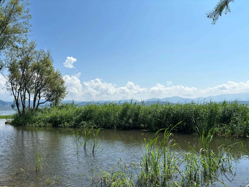 秋冬血压持续超过150心血管专家支招早上“四做四不做”，附150斤冬季穿搭秘诀