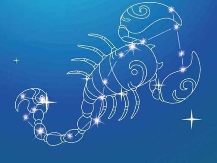 1104是天蝎座吗 一次说清这天出生人的所有秘密