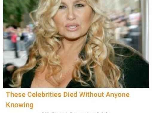 探秘Sophie：一个承载智慧与时代脉动的名字