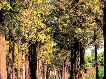 秋季整理秘籍轻松打造温馨小窝